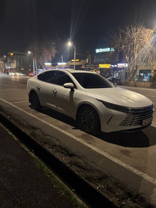 BYD Chazor Luxe 55 km