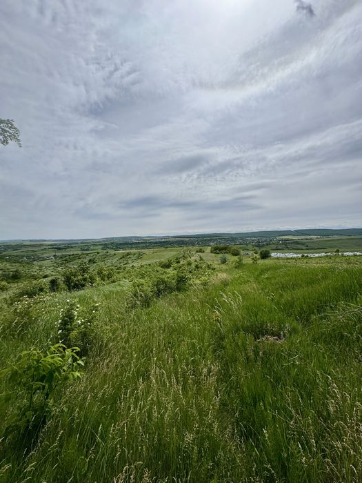 Teren 11.165 mp zona Pacea (lângă Combustibilul/Castillio) – 3400 mp intravilan, utilități la limita de proprietate(gaz,apa,curent electric),13.5 e/mp