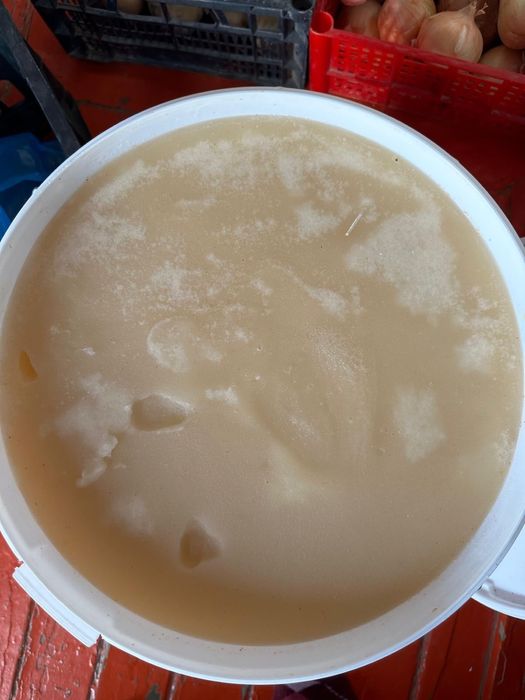 Таза табиғи мед |натуральный мёд