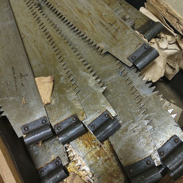 Пила Дружба, новая СССР.