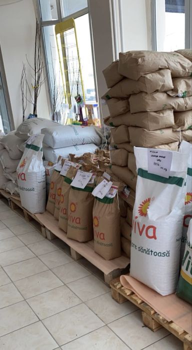 Furaje Viva pentru pasari / porci etc.