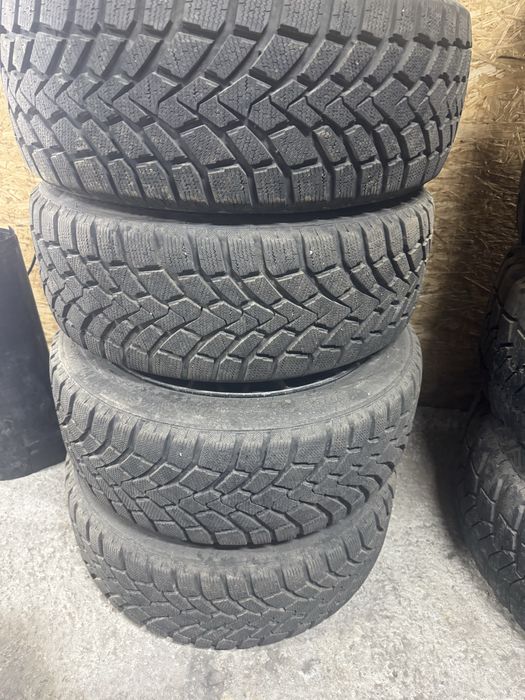 Mazzini show leopard