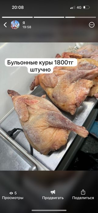 Свежие БРойлер, Индейка,Утки ,Гуси