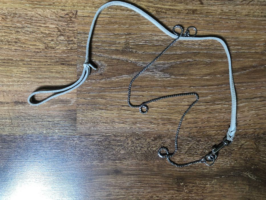 Выставочный поводок для собаки.