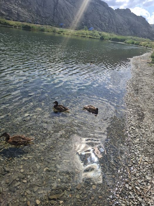 Продам земельный участок на Сибинских озерах