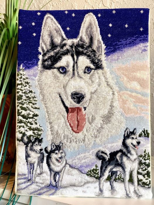 “Полярна приказка”