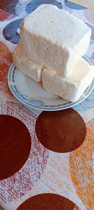 Branza de capra en-gros