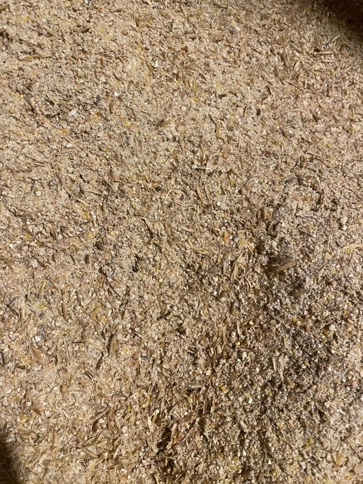 Uruiala pentru animale