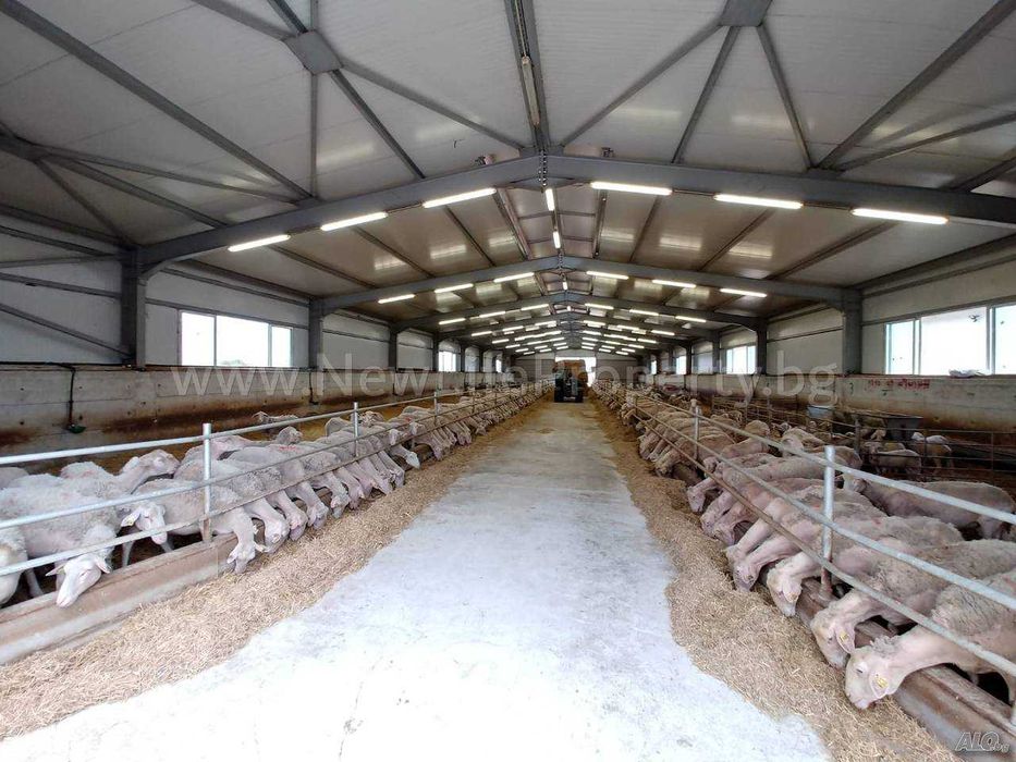 Аграрно Промишлен Комплекс, с. Драчево