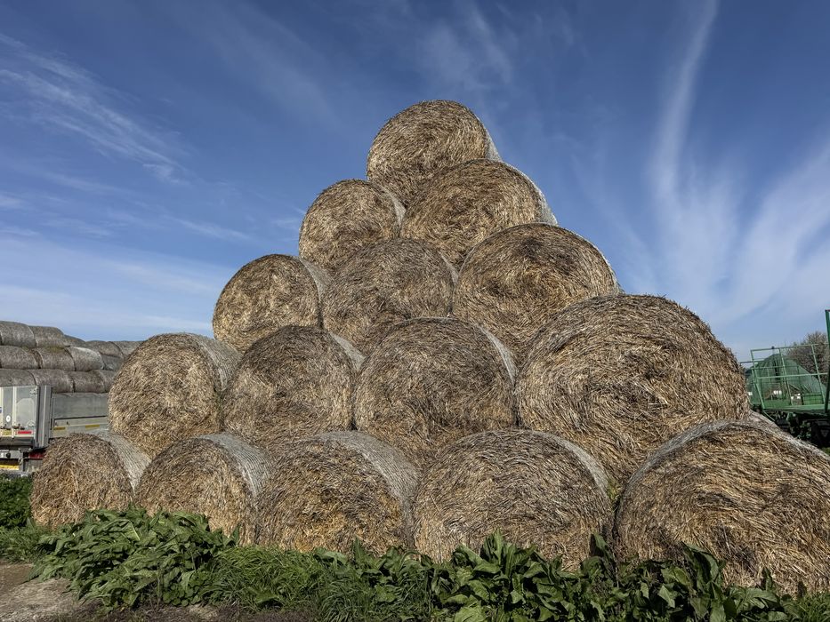 Baloți din paie de grâu