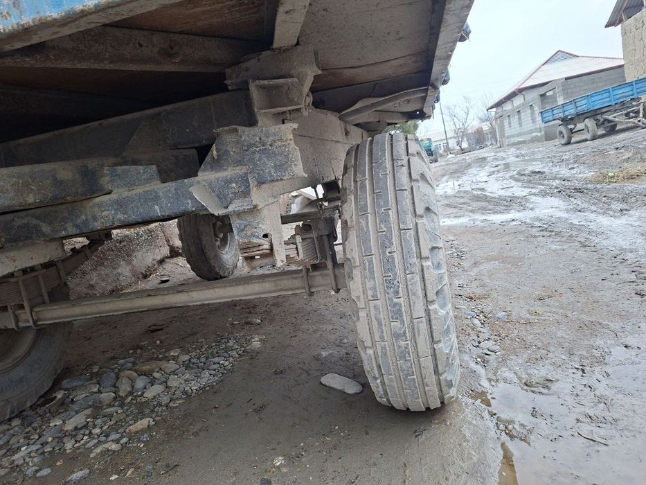 Телешка прсепла сотилади сеткалари бор