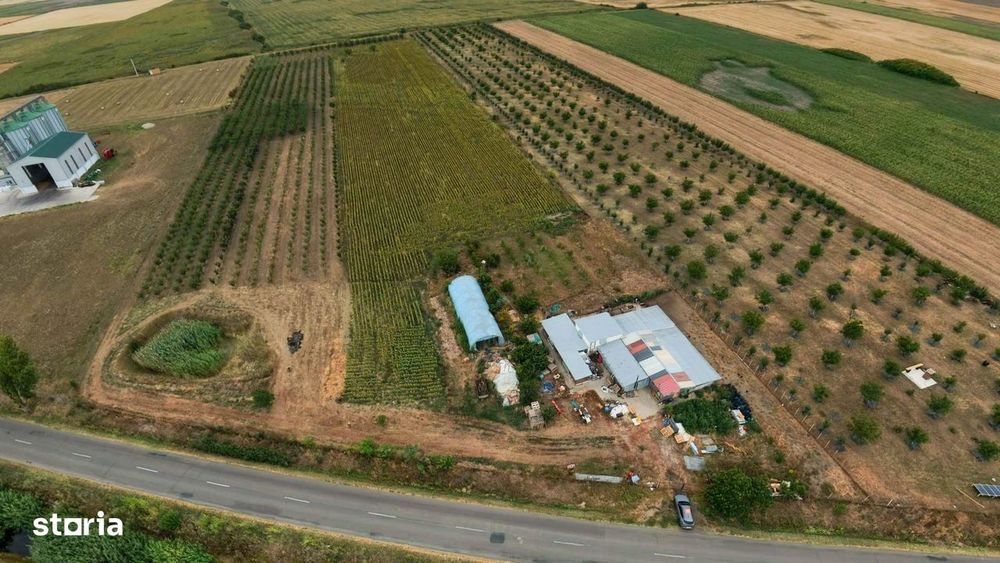 Livadă de 3,6 hectare în Iratoșu – Oportunitate