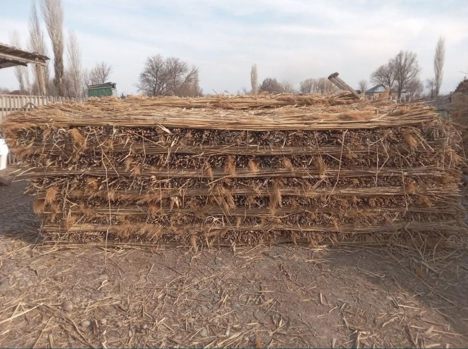 Камыс плита сатылады