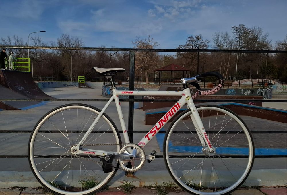 Фикус Тсунами снм 100