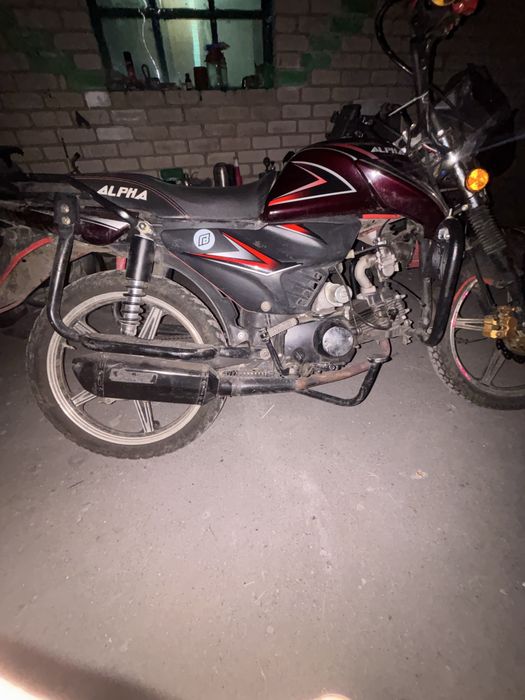 Альфа рс 12 чамп