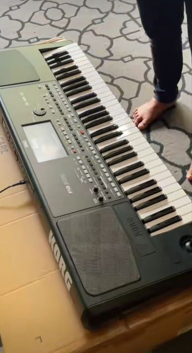 Orgă  korg pA600