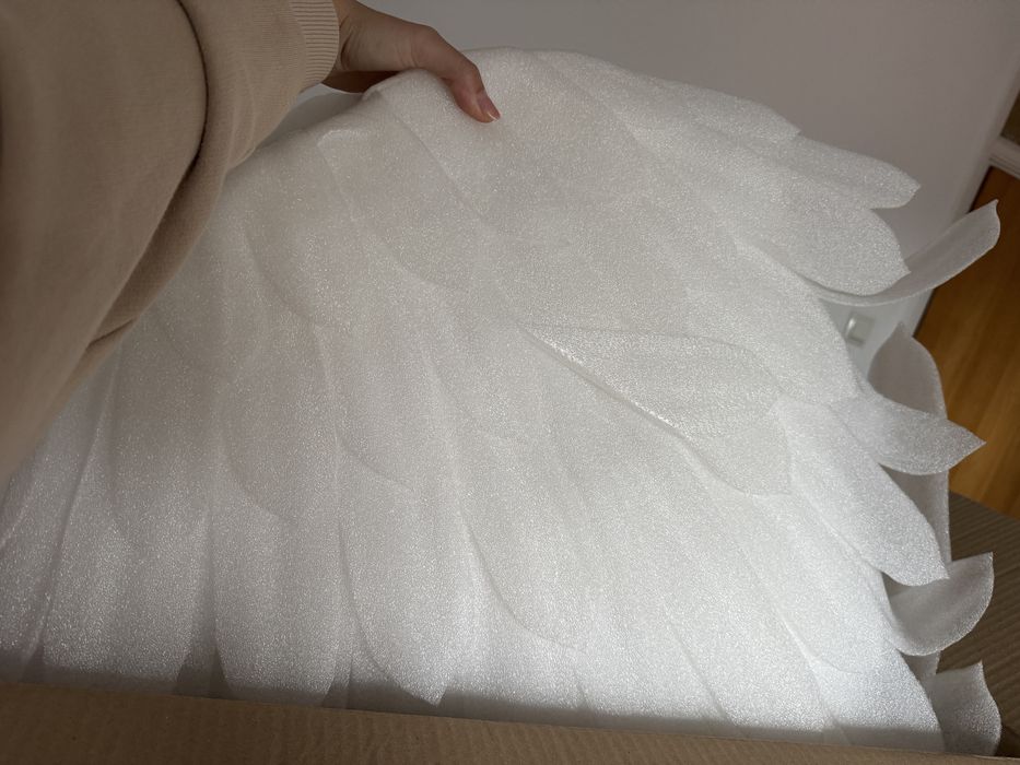 Aripi pentru sedinta foto