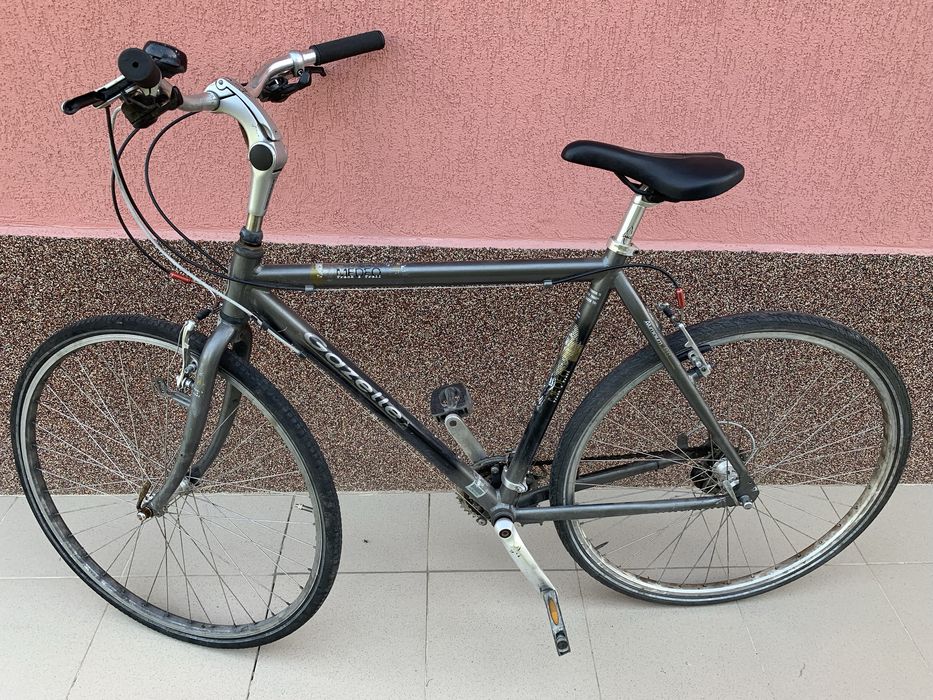 BERGAMONT  28 oras barbati