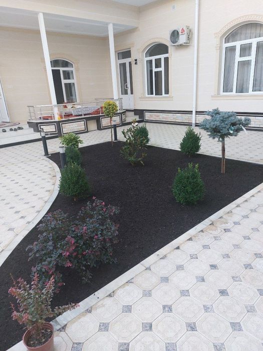 Tanlov sizdan landshaft-manzara bizdan