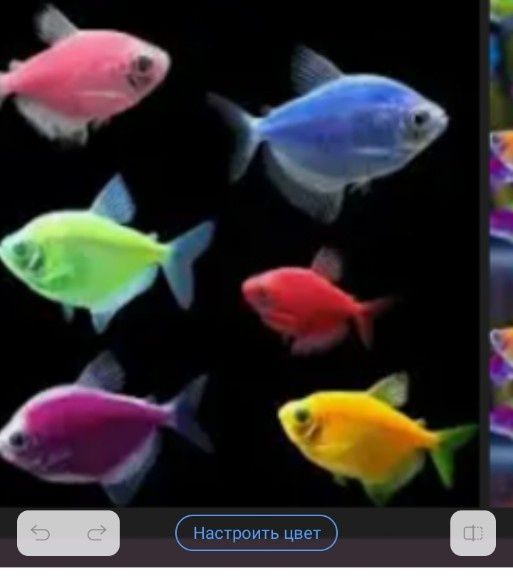 Продам аквариумных рыбок