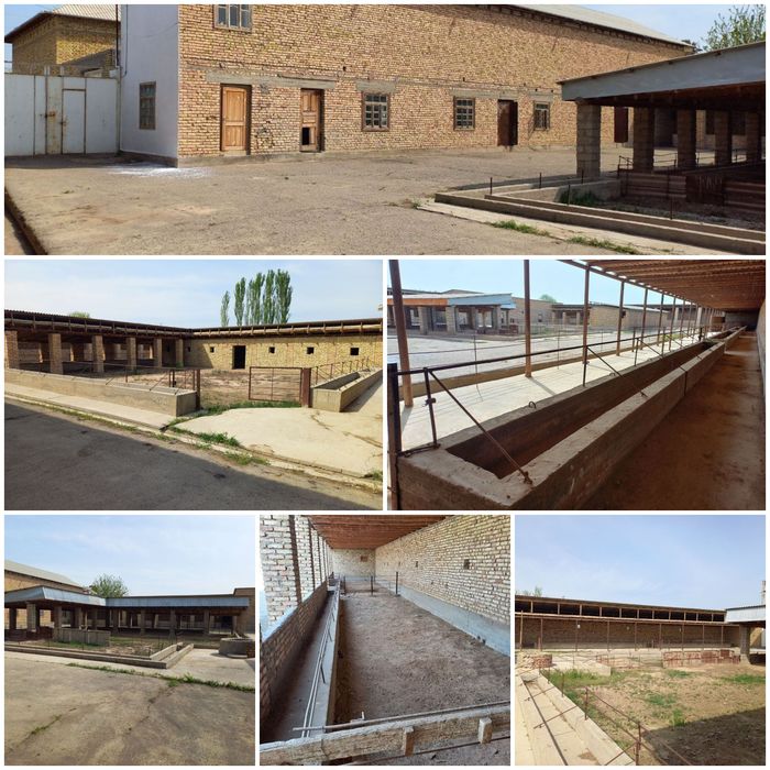 Barcha qulayliklarga ega xovli sotiladi