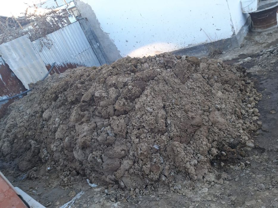 Көң бар. Сиырдың көңі тегін.