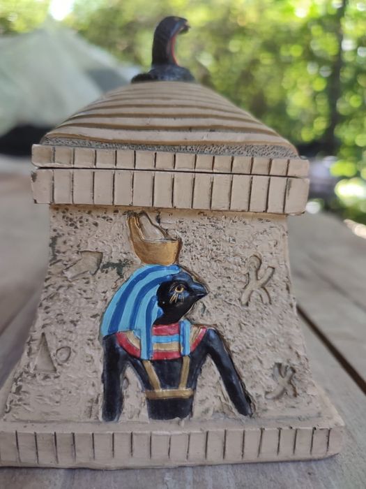 Коробочка египетская