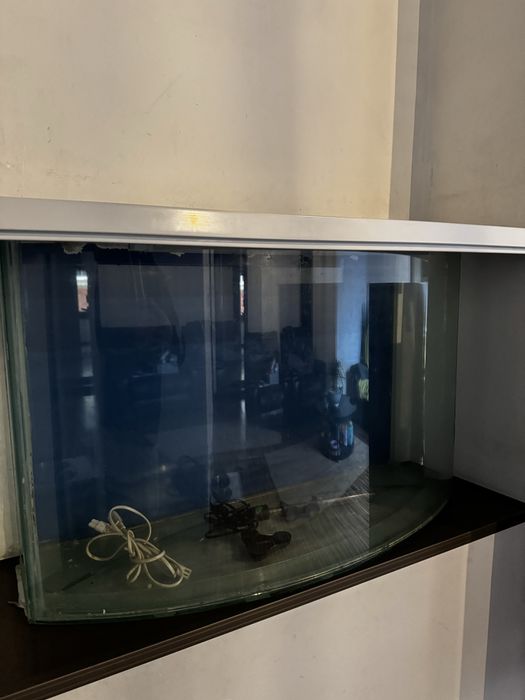 Acvariu 100l curbat