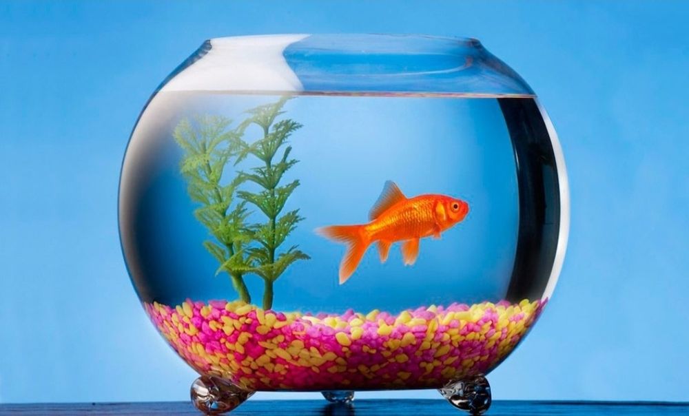 Акварюм любых размеров