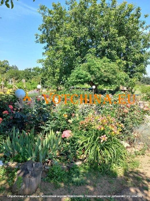 Продава се Къща в с. Паницово, Област Бургас - 116 кв.м за 1078 €/кв.м - Снимка #2