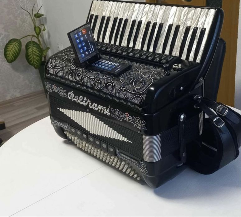 Acordeon Beltrami Stradella Professional-Special 120 basi
