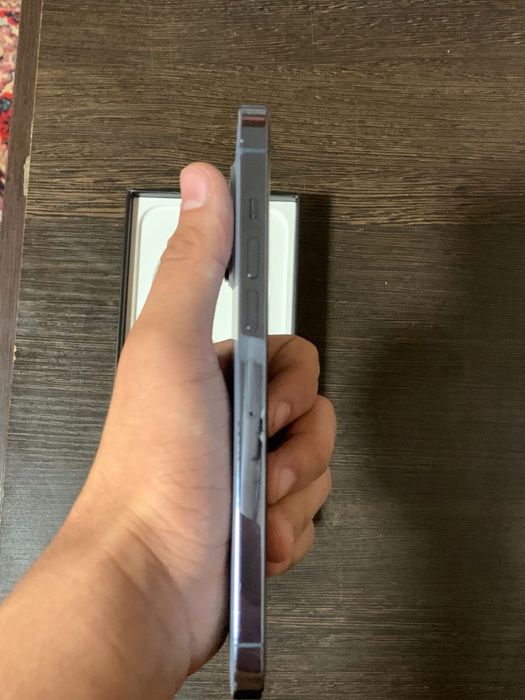 Iphone 13Pro Max