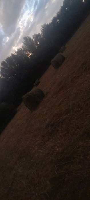 Продажа либо обмен Сено рулоны пресс пр 145