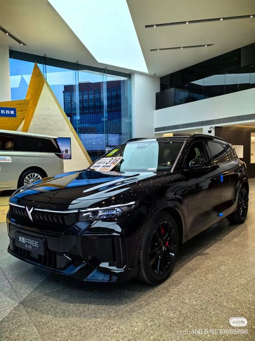 Voyah Free Apollo Tech 25x26