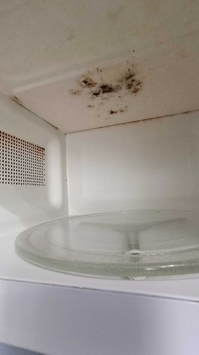 Продам СВЧ  элемберг