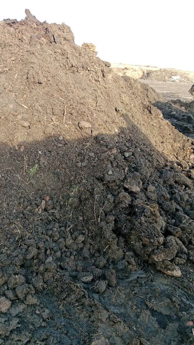 Перегной с доставкой отличного качества !