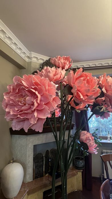 Ростовые цветы. Есть пионы, тюльпаны ростовые