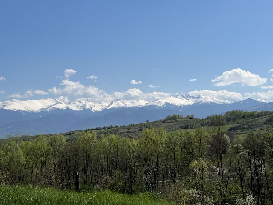 Teren panoramic 5.800 mp, acces la drum, vedere Munții Retezat, Ciula