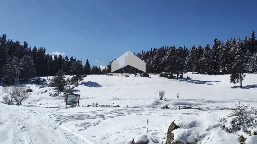 Парцел в гр. Сърница