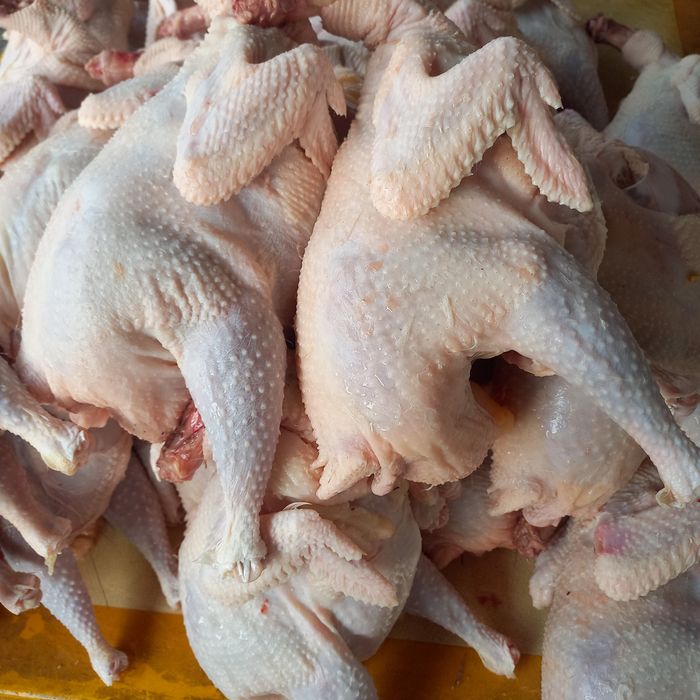 Куры домашние тушки