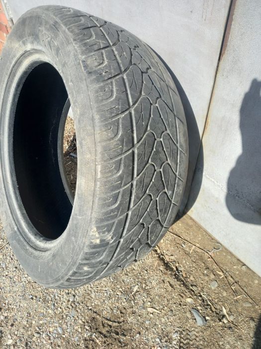 продам шины  недорого