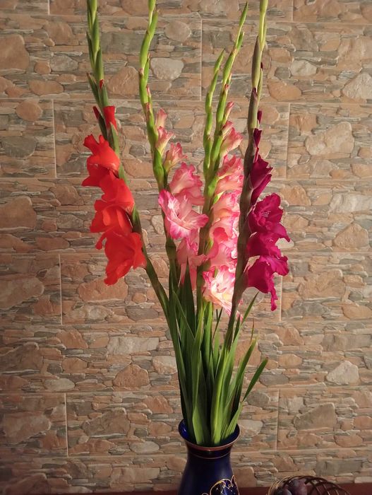 Vând apartament cu 2 camere, Bv.victoriei