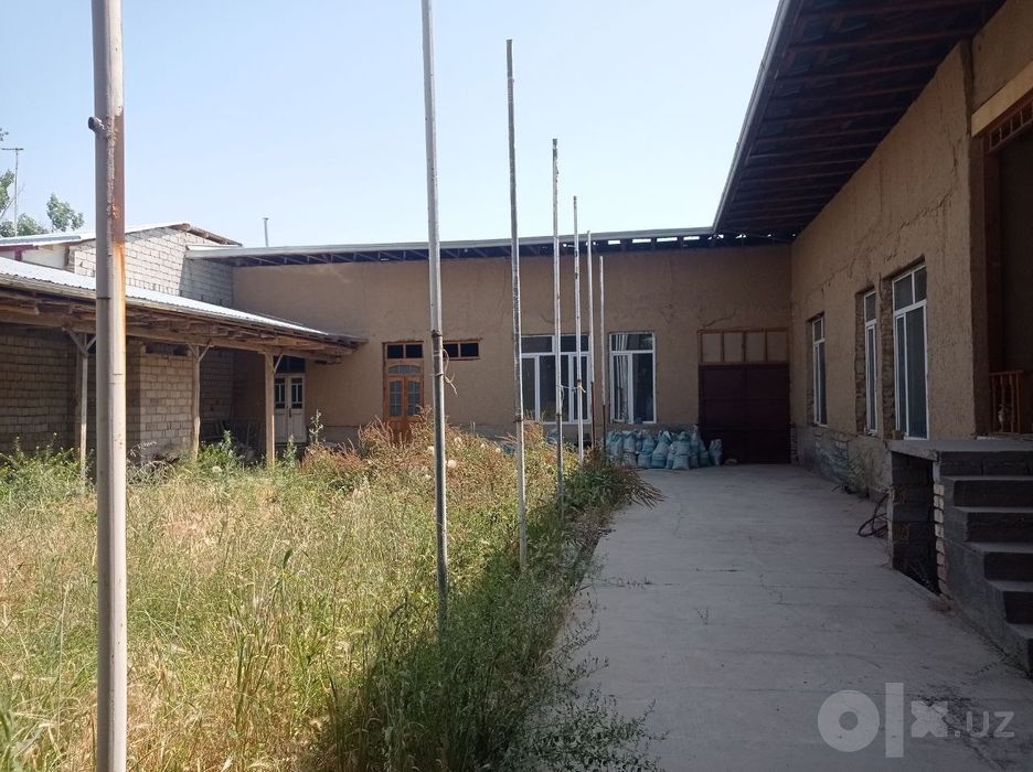 Oltin tepadan uy arendaga beriladi