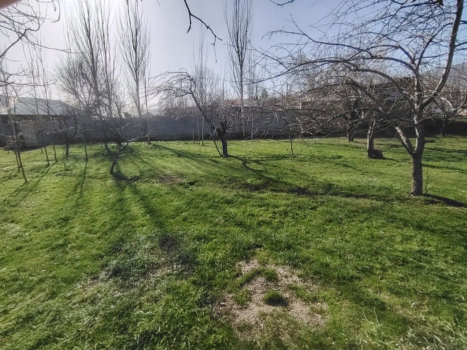 Yer sotiladi Oq towdan