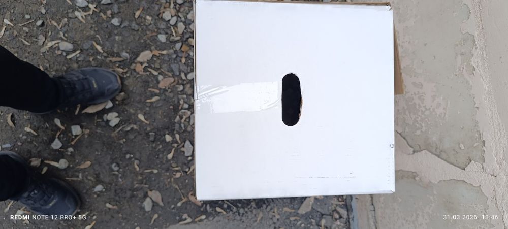 Коробки из под яйца, б/у чтстые