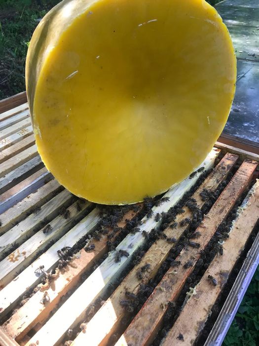 Воск пчелинный, забрусный.