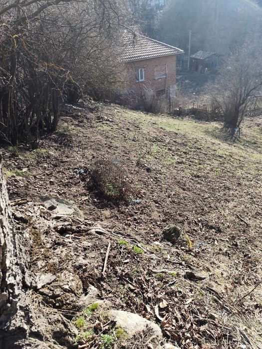 Продава се Парцел в с. Бачево, Област Благоевград - 700 кв.м за 22 €/кв.м - Снимка #1