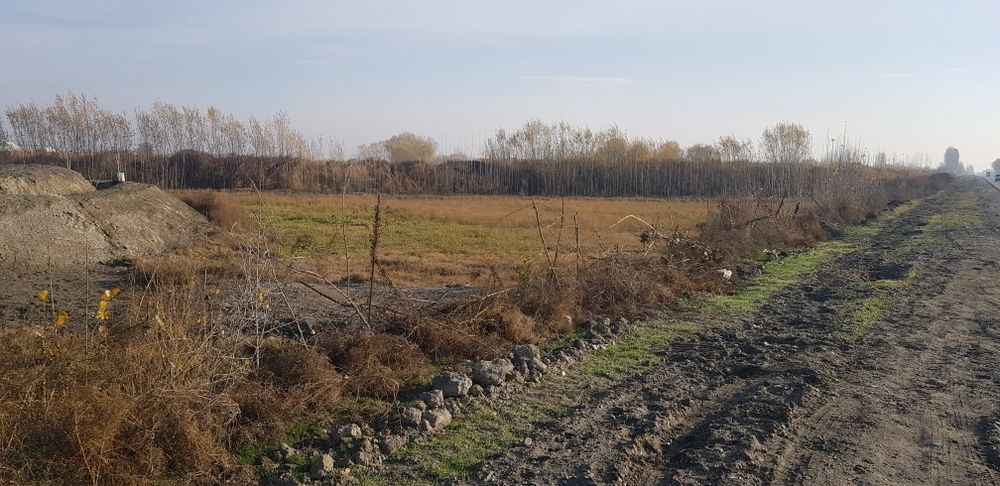 Kuchmas mulk sotiladi.