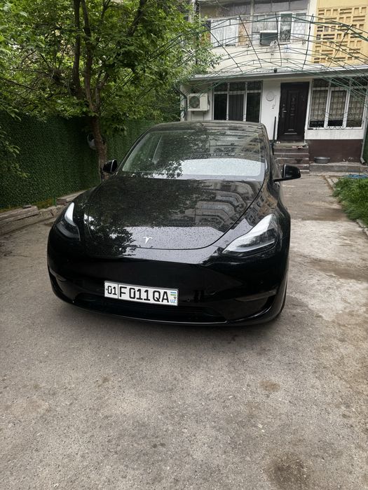 Tesla model Y performance