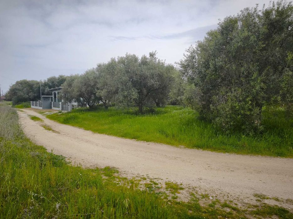 Продава прекрасен парцел близо до морето с площ 510 м2 в Неа Врасна, Гърция